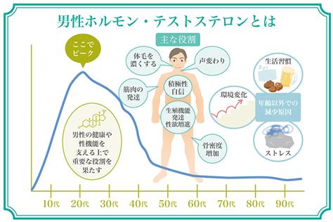 恋愛 テストステロン|【医師監修】恋愛ホルモンは男性・女性にどう影響す。